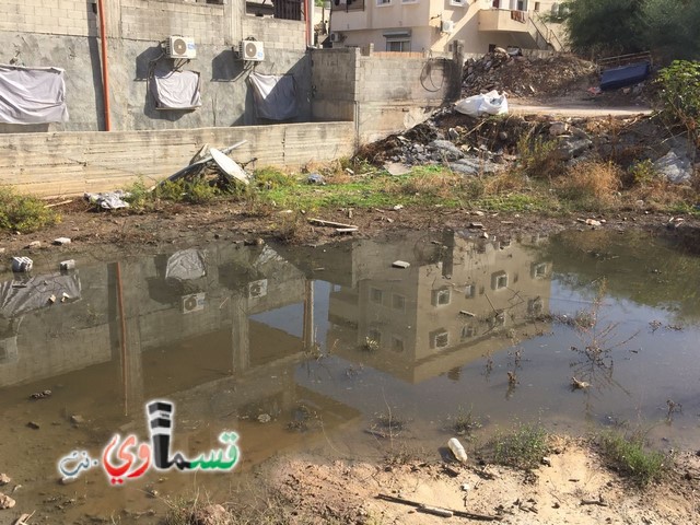 فيديو: سالم ابو ذيب شقيق صاحب الشاحنة  لا اعتقد ان هناك من يقبل العيش بجانب بحيرة مجاري.. والينابيع مؤسسة لسرقة المال  والرئيس ابو العبد حبيبنا وعلى الراس والعين